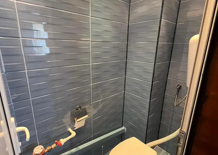 Apartment-tulip アパート